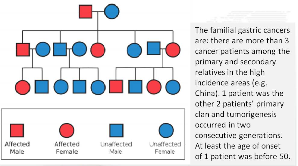 Genetic testing of hereditary cancers 